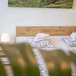 Deluxe New Innsbruck Center Apartment